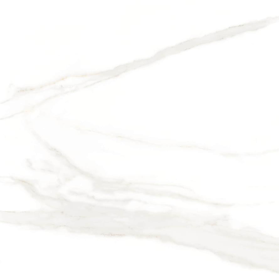 A Ceramica Neptune Neptune Polished 60x60 A Ceramica Neptune Neptune Polished 60x60