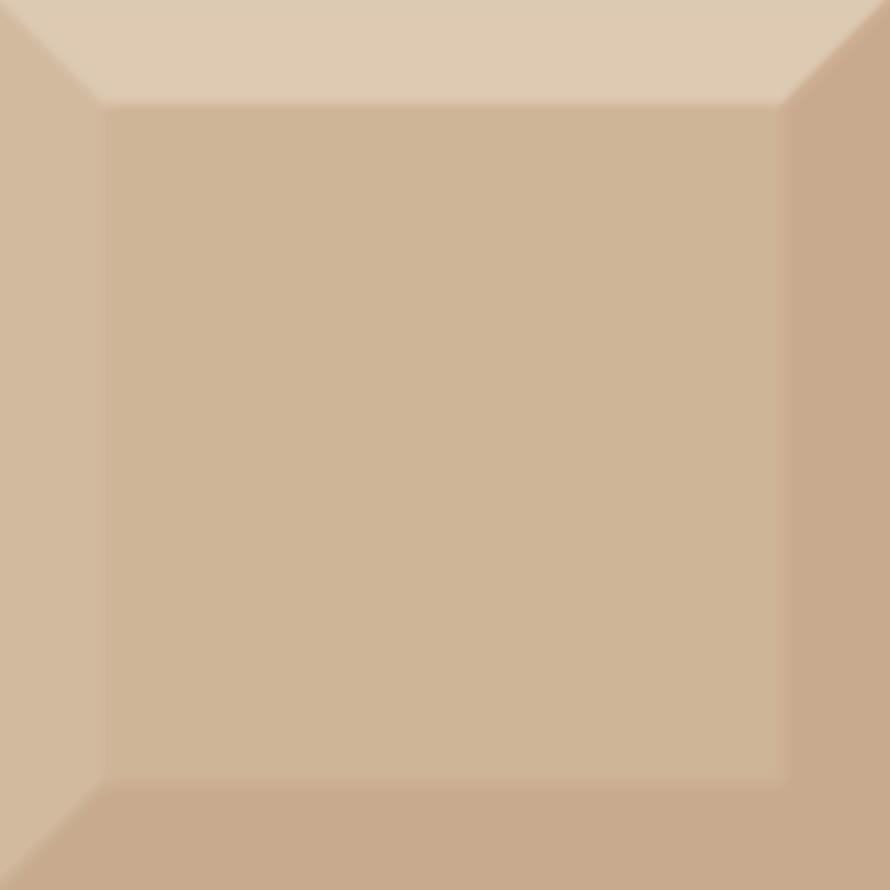 Absolut Keramika Monocolor Biselado Brillo Beige 10x10