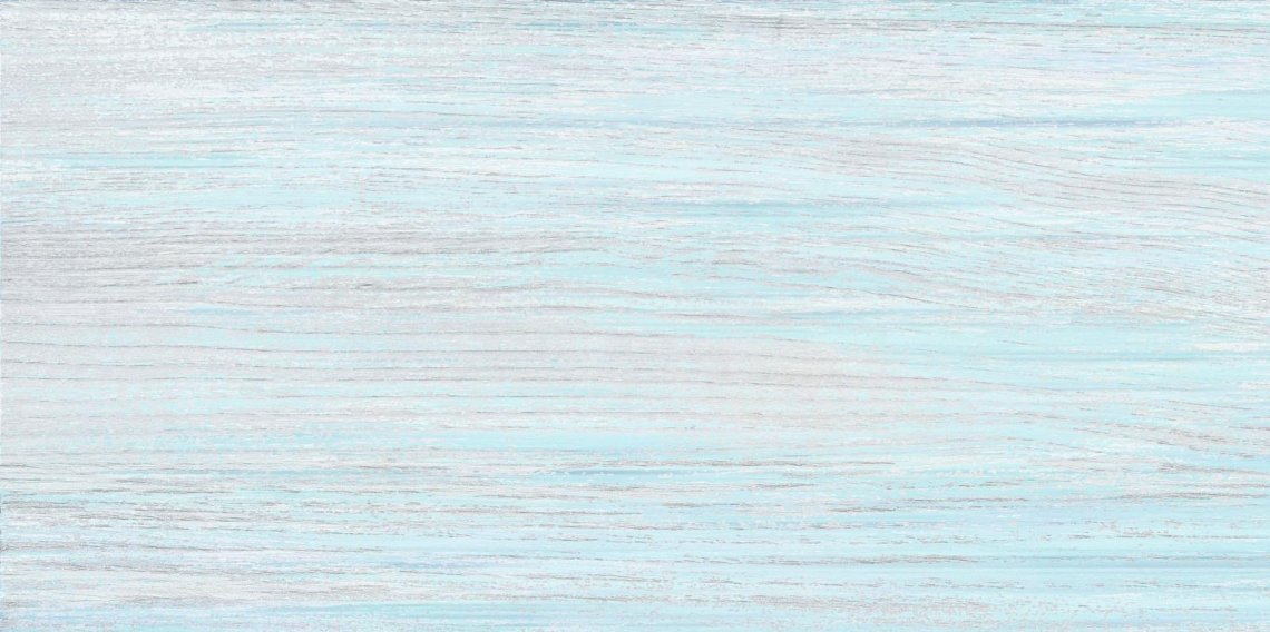Alma Ceramica North TWU09NRT606 24.9x50