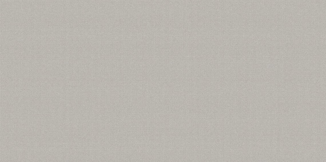 Altacera Megapolis Gray 24.9x50