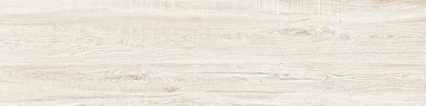 Aparici Bondi Camper White Nat 24.75x99.55