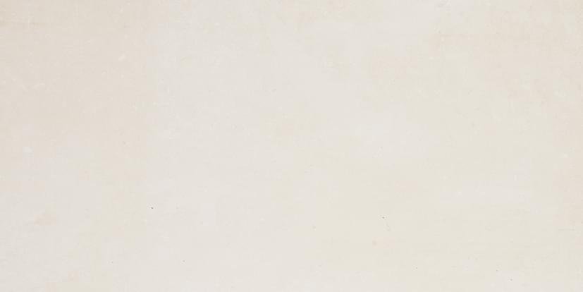Aparici Isen Ivory Natural 50x100