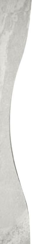 Apavisa Materia White Natural End Concave 7x89.46
