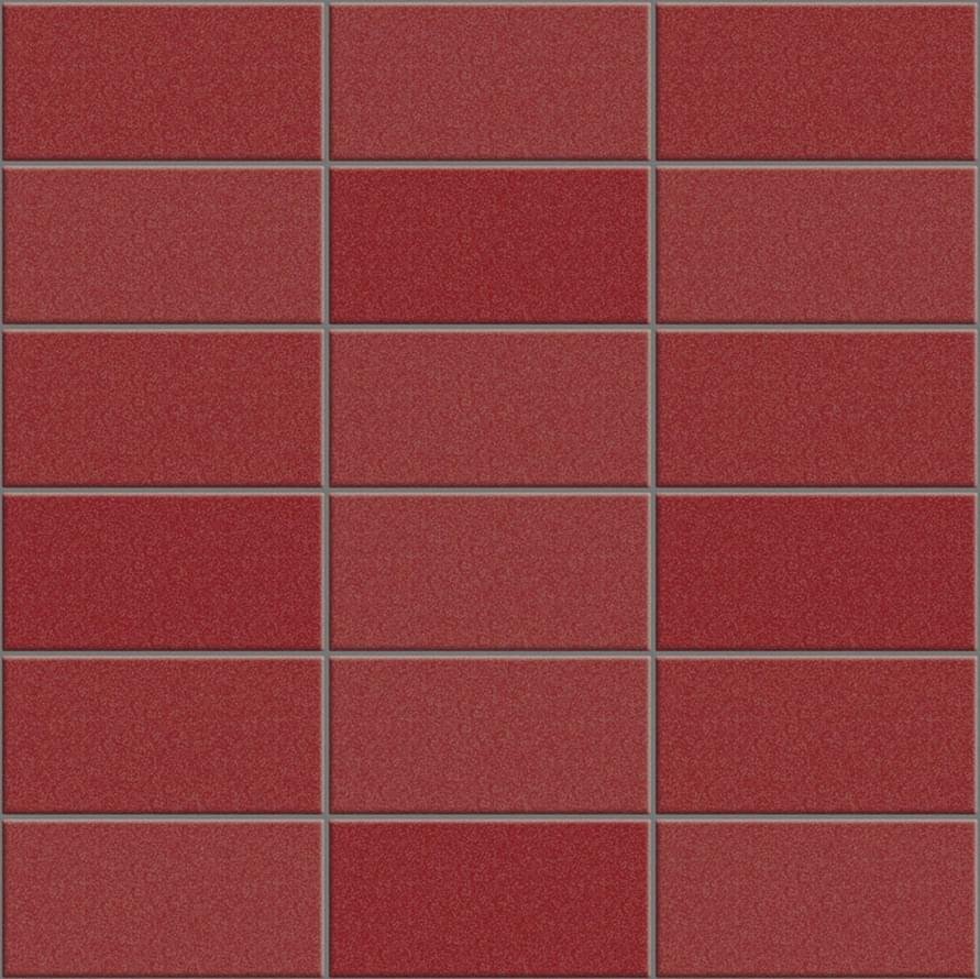 Appiani Anthologhia Mos 2005 Camelia 30x30