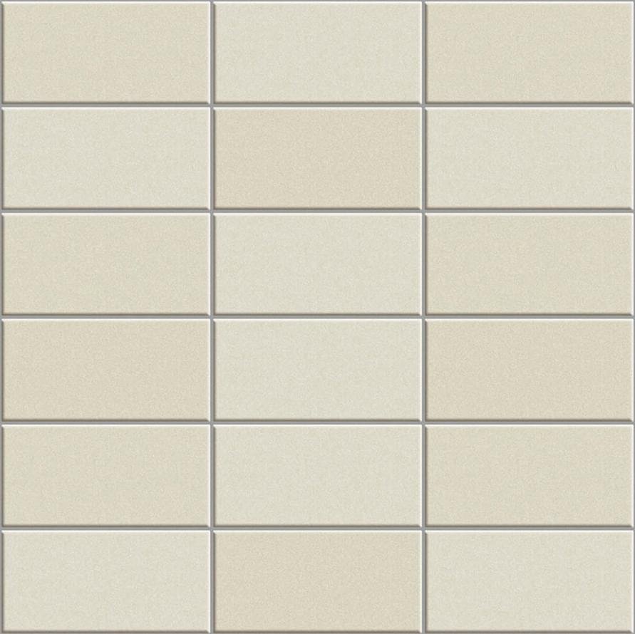 Appiani Anthologhia Mos 2025 Flos 30x30