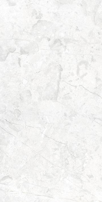 Arcadia Ceramica Marcus Bianco Rt 60x120