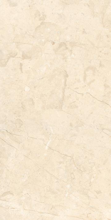 Arcadia Ceramica Marcus Cremano Rt 60x120