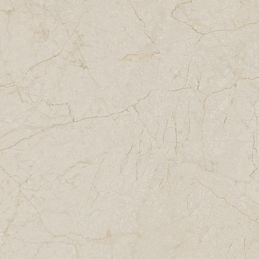 Arcana Black And Cream Cream R Dune 59.3x59.3
