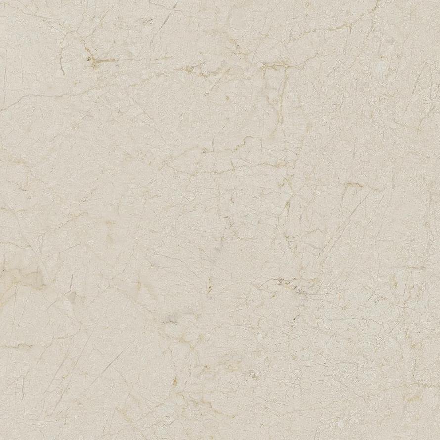 Arcana Black And Cream Cream R Dune 80x80