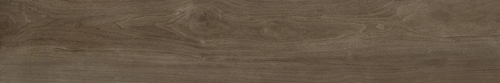Ariostea Legni Rovere Corteccia Anticato Sq 20x120