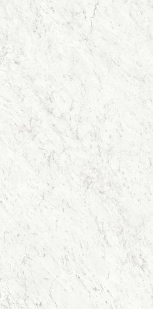 Ariostea Marmi Classici Bianco Carrara Silk 60x120