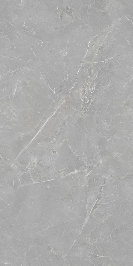 Artecera Fior Di Bosco Silver Rectificado 60x120