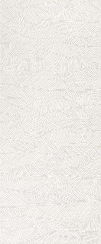 Atlas Concorde Aplomb White Leaf 50x120