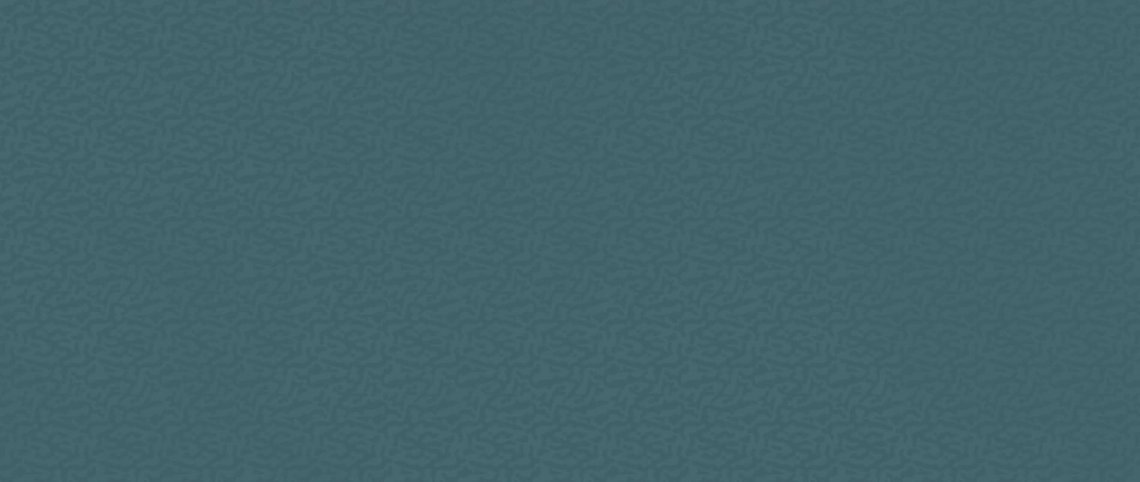 Atlas Concorde Boost Color Navy Frog 50x120