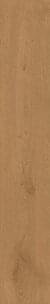 Atlas Concorde Entice Copper Oak 20x120