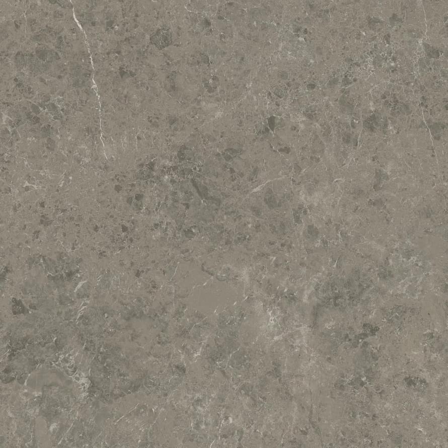 Atlas Concorde Marvel Meraviglia Grigio Elegante Velvet 120x120