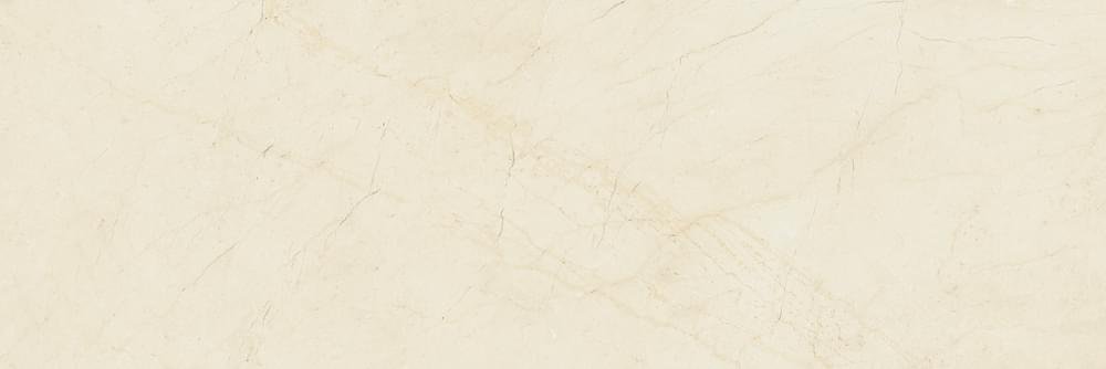 Baldocer Dynasty 40x120