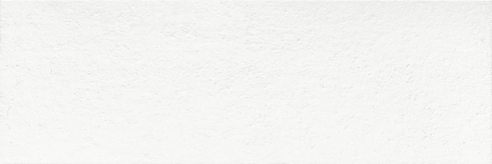 Baldocer Mont Blanc Stein 30x90