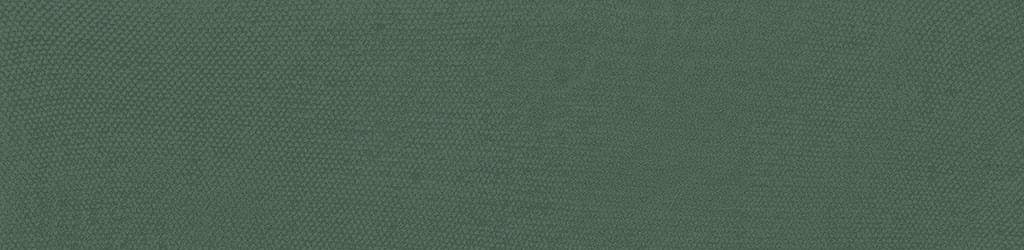 Bardelli Pittorica 11M 6x25