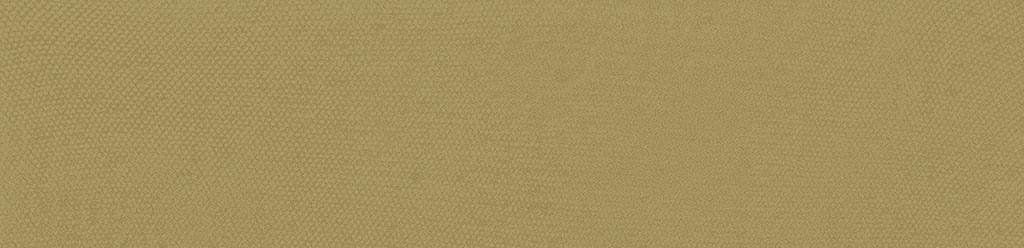 Bardelli Pittorica 12M 6x25