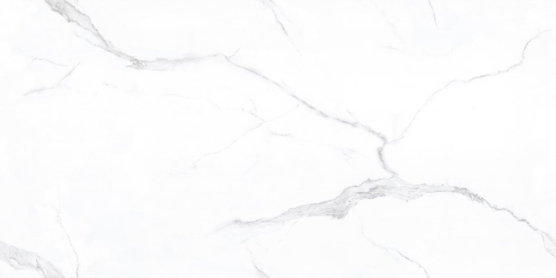 Basconi Home Porcelain Carrara Full Body Polished 60x120