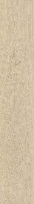 Caesar Fabula Robur Rt 20x120