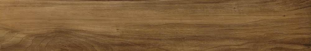 Caesar Life Noce Ret 20x120
