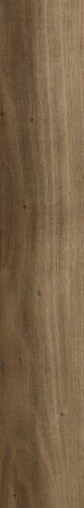 Caesar Life Walnut Ret 20x120