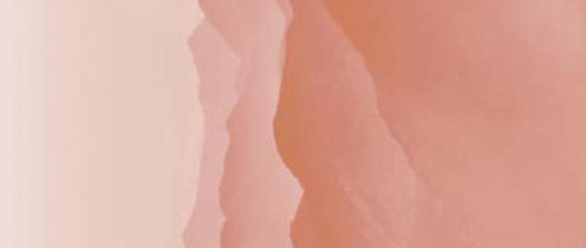 Caesar Misura Deco Landscape Coral B 119.5x278