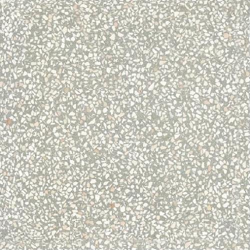 Carodeco Terrazzo Gris Clair 05 40x40