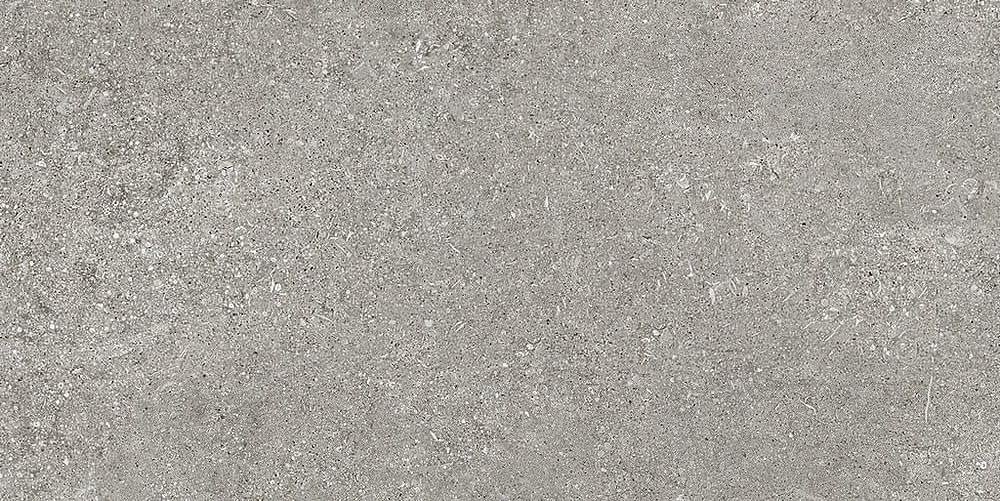 Casa Dolce Casa Sensi Grey Fossil 6 mm 60x120