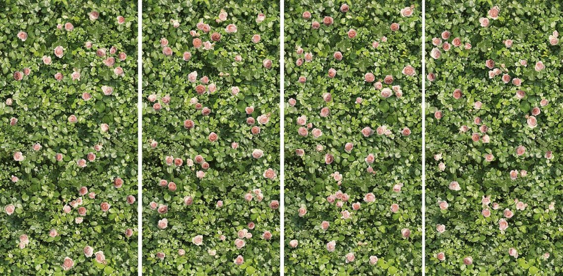 Casalgrande Padana Limpha Coral Rose 120x240