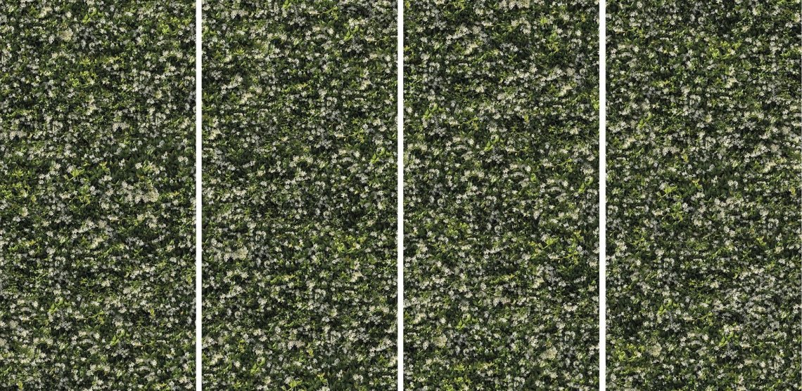 Casalgrande Padana Limpha Gelsomino 120x240