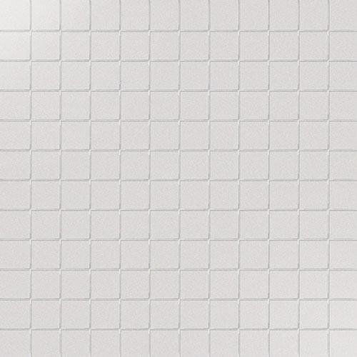 CE.SI Lucidi Salgemma Su Rete 2.5x2.5 30x30