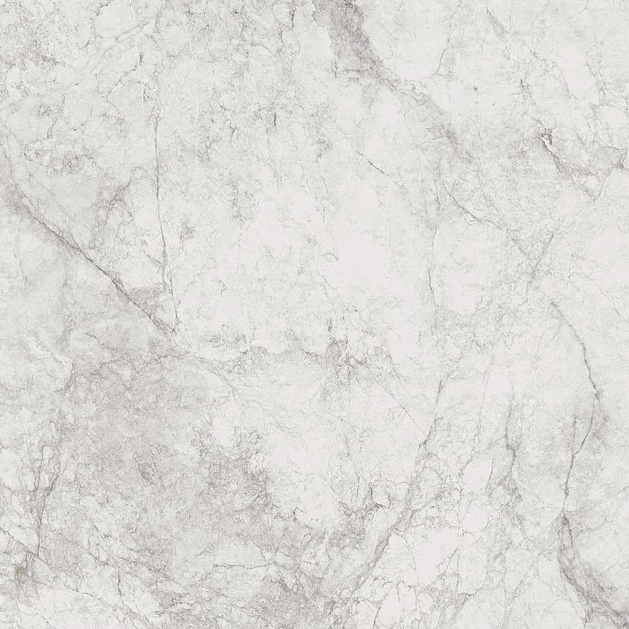 Century Contact Stone White Naturale 120x120