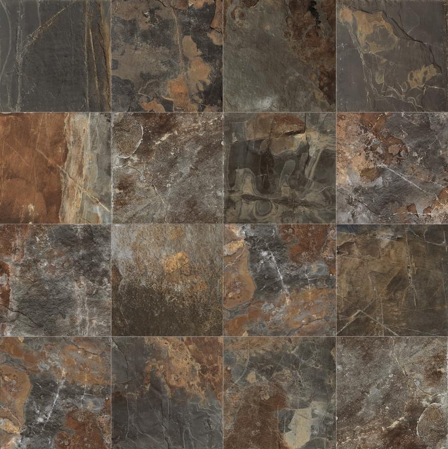 Century Geology Fossil Grip 50x50