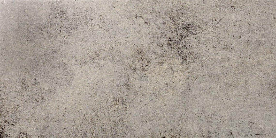 Ceracasa Evolution Gris 49.1x98.2