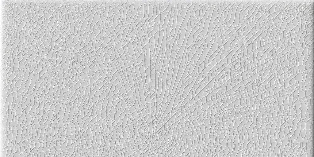 Cerasarda Pitrizza Grigio Moyen 10x20