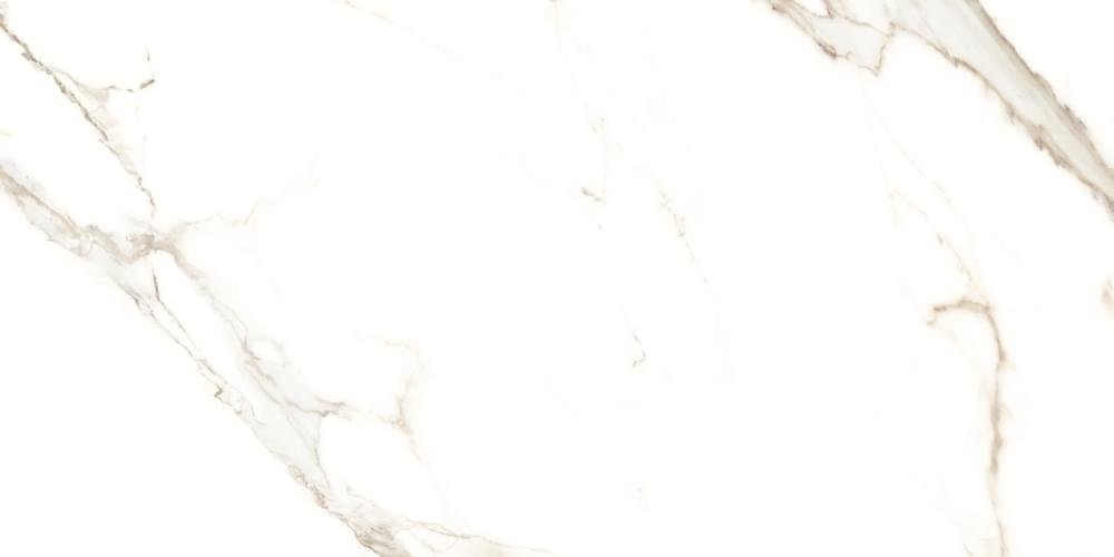 Cerdomus Calacatta Puro Levigato 60x120