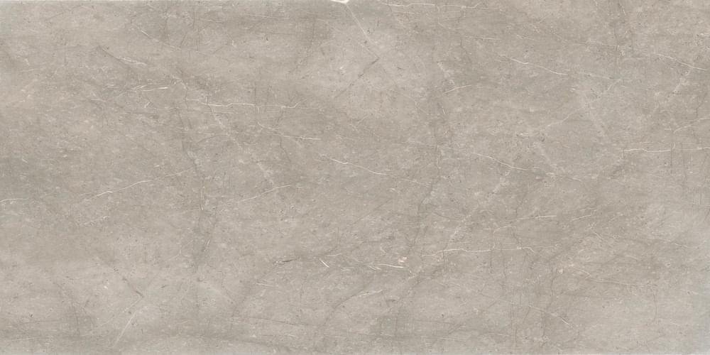 Cerdomus Mexicana Silver Satinado 60x120