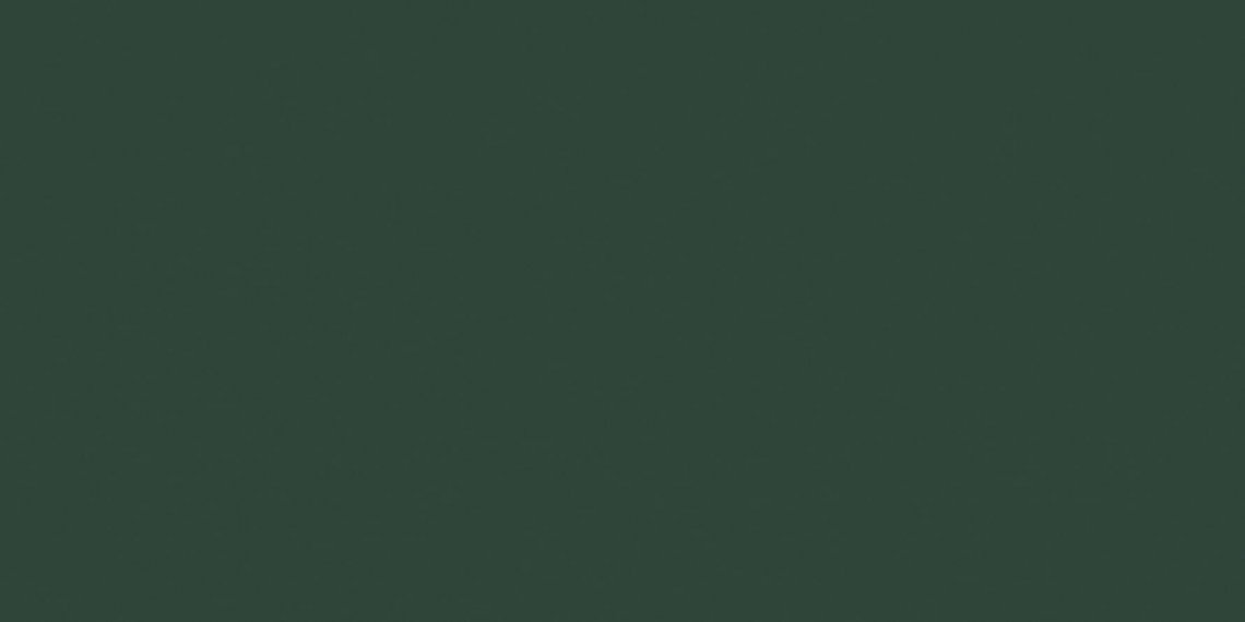 Cerim Crayons Moss 60x120