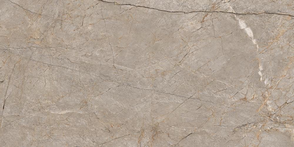 Cersanit Futura Silver Roots 60x120