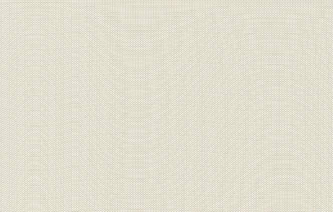 Colorker Ikon Bone 25x40