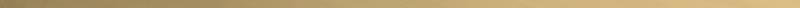 Colorker Odissey Listello Line Gold 1x100
