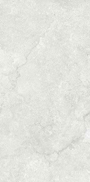 Creatile Antique Stone Silver Matt 60x120
