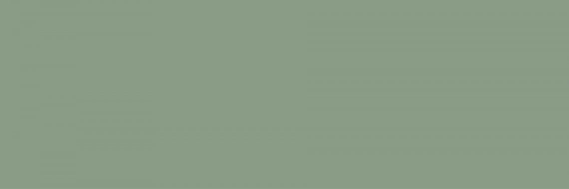 Creto Ekzotic Olive 30x90