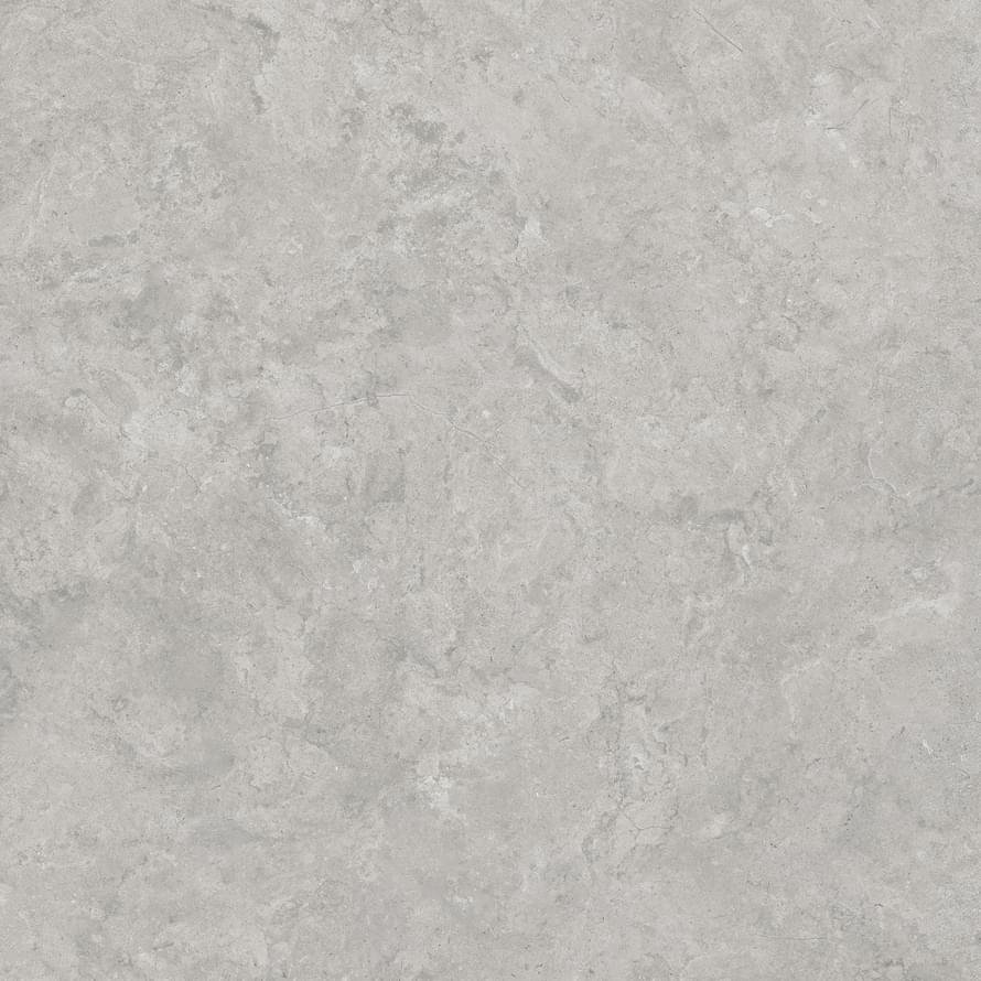 Creto Shell Lg 60x60