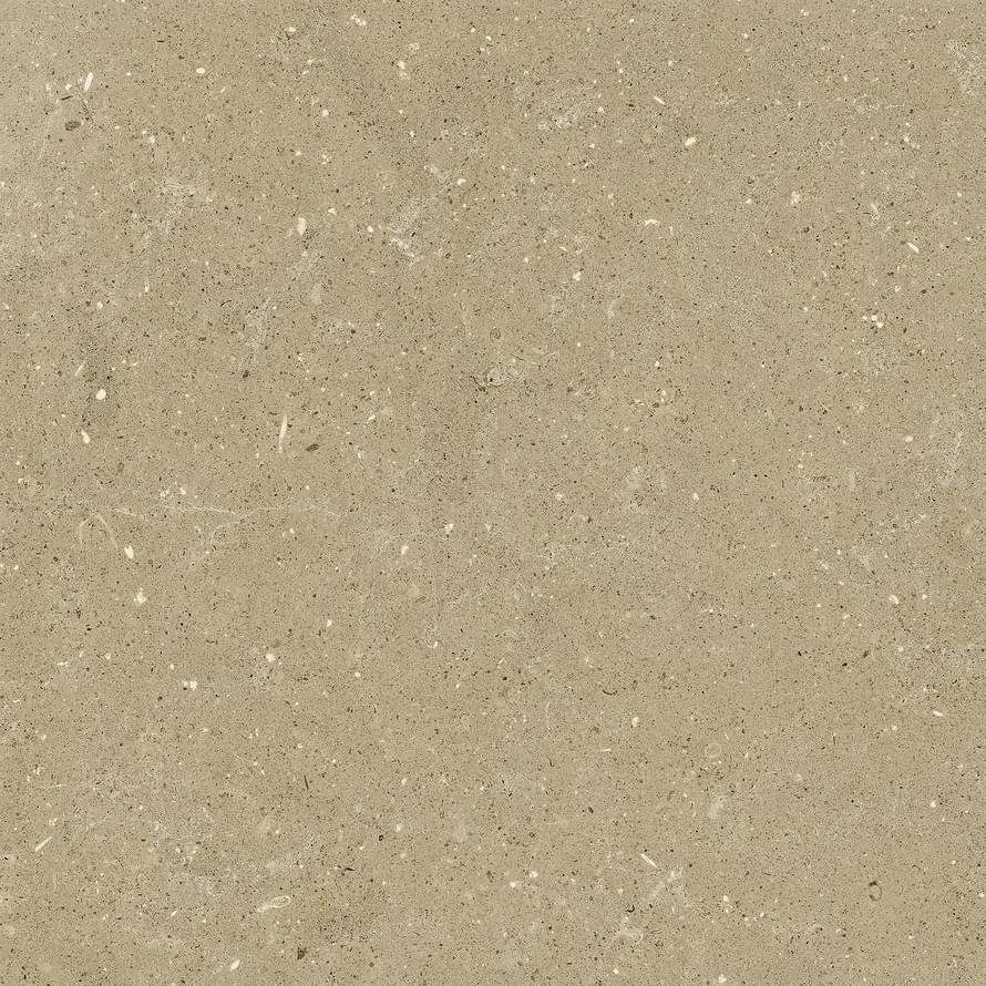 Del Conca Wild 1 Beige Rett Hard 60x60