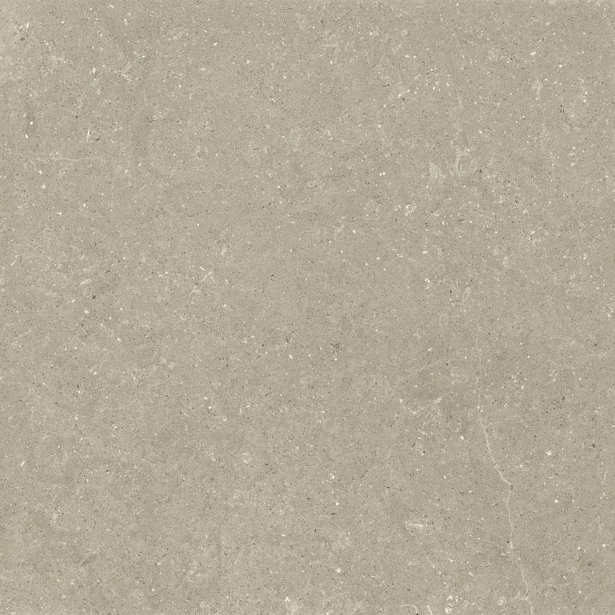 Del Conca Wild 11 Greige Rett Hard 120x120