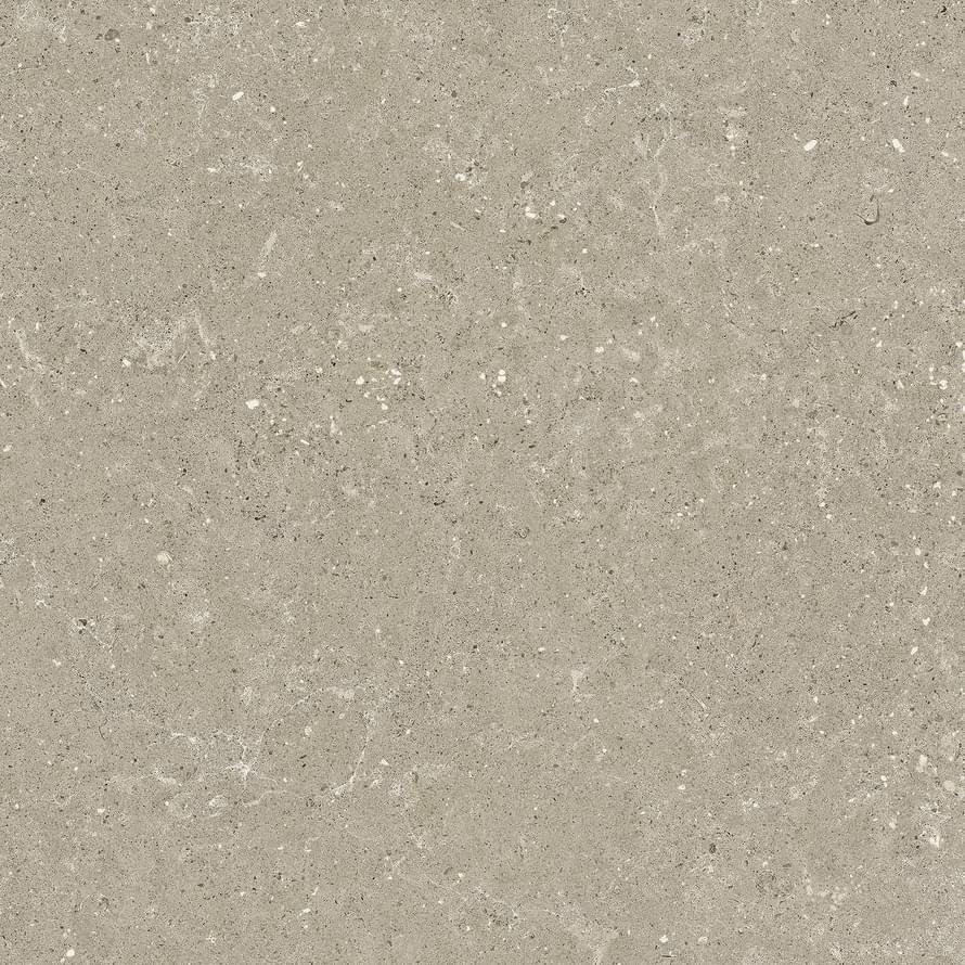 Del Conca Wild 11 Greige Rett Hard 60x60